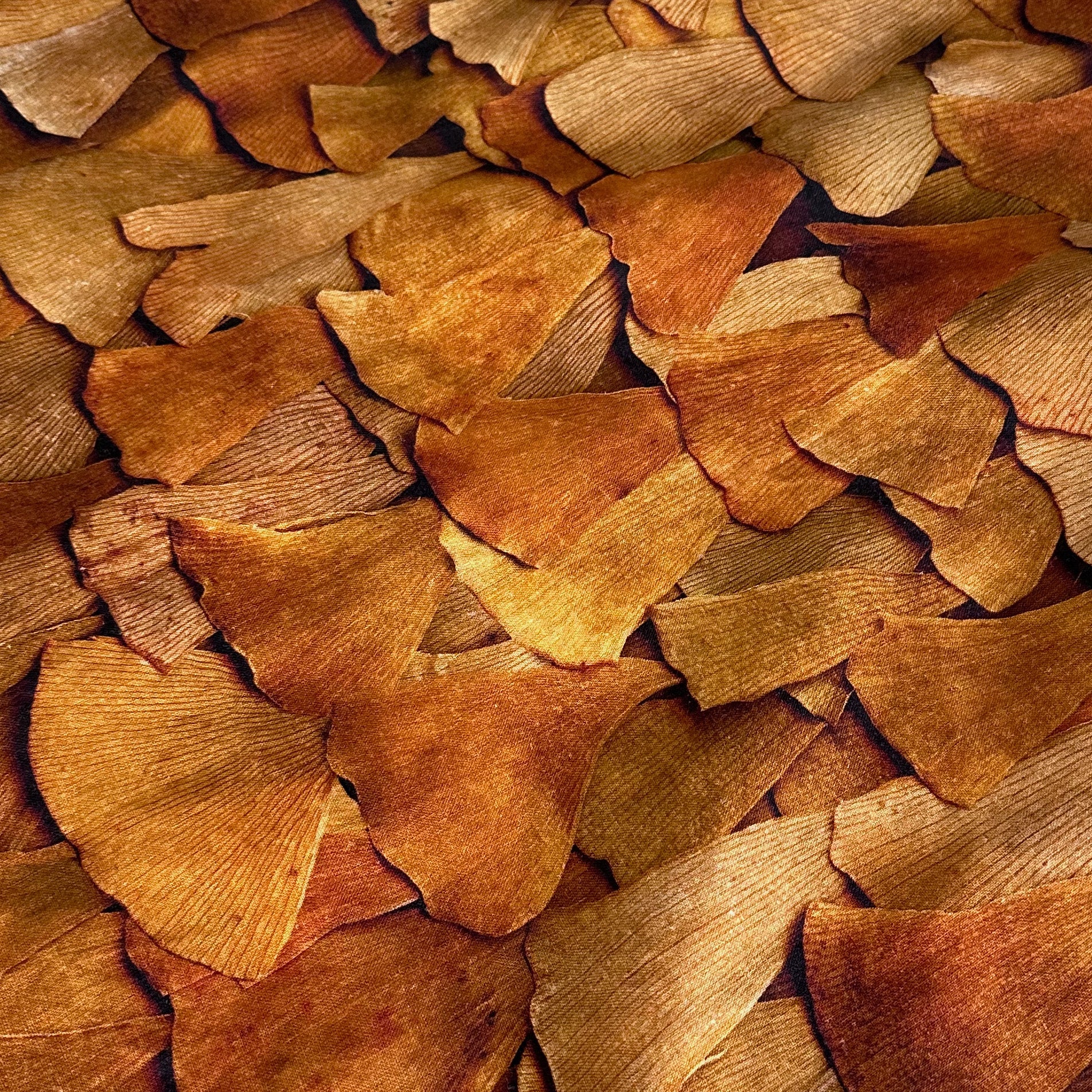 Bed Art • Annual Leave