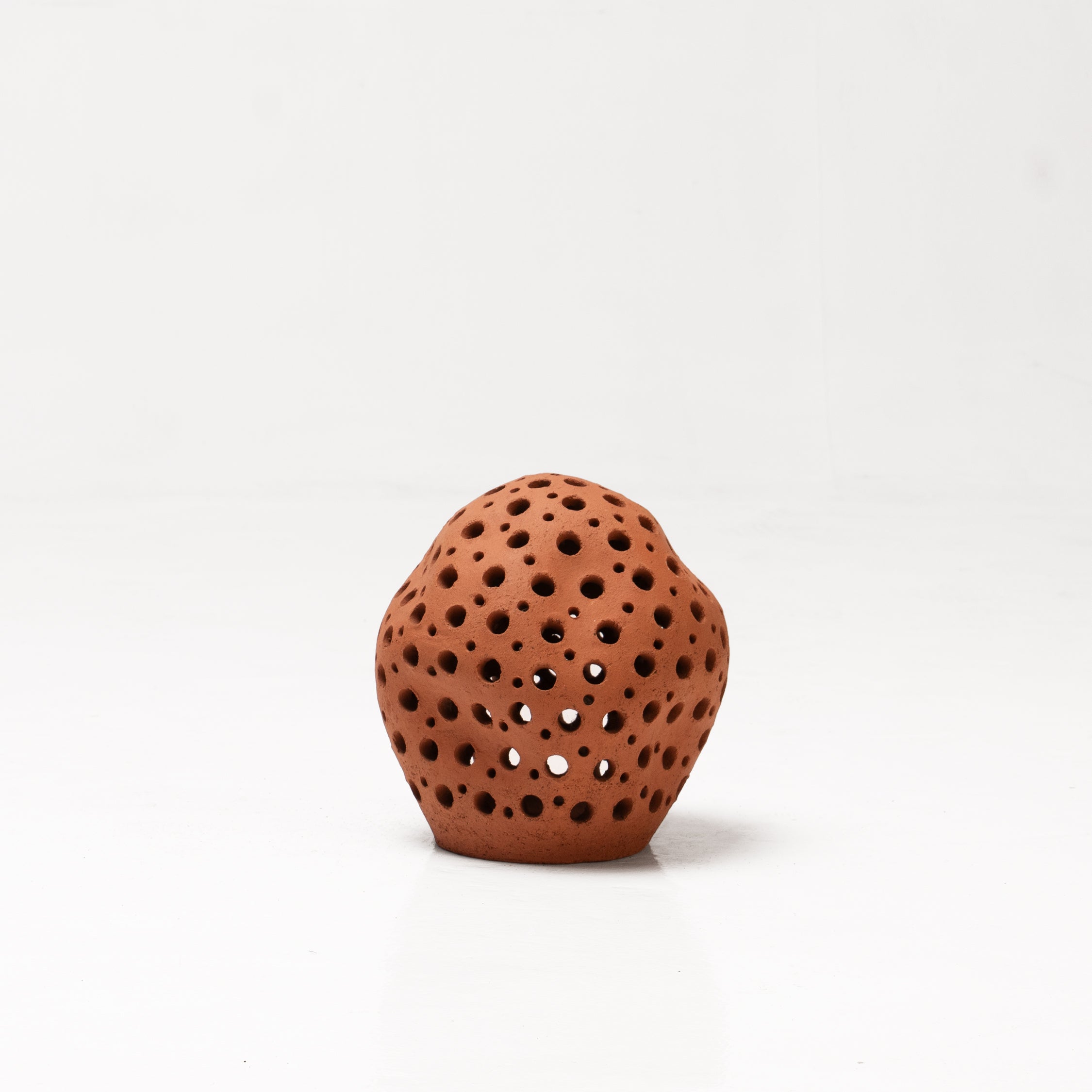 Cassius Clay • Lights