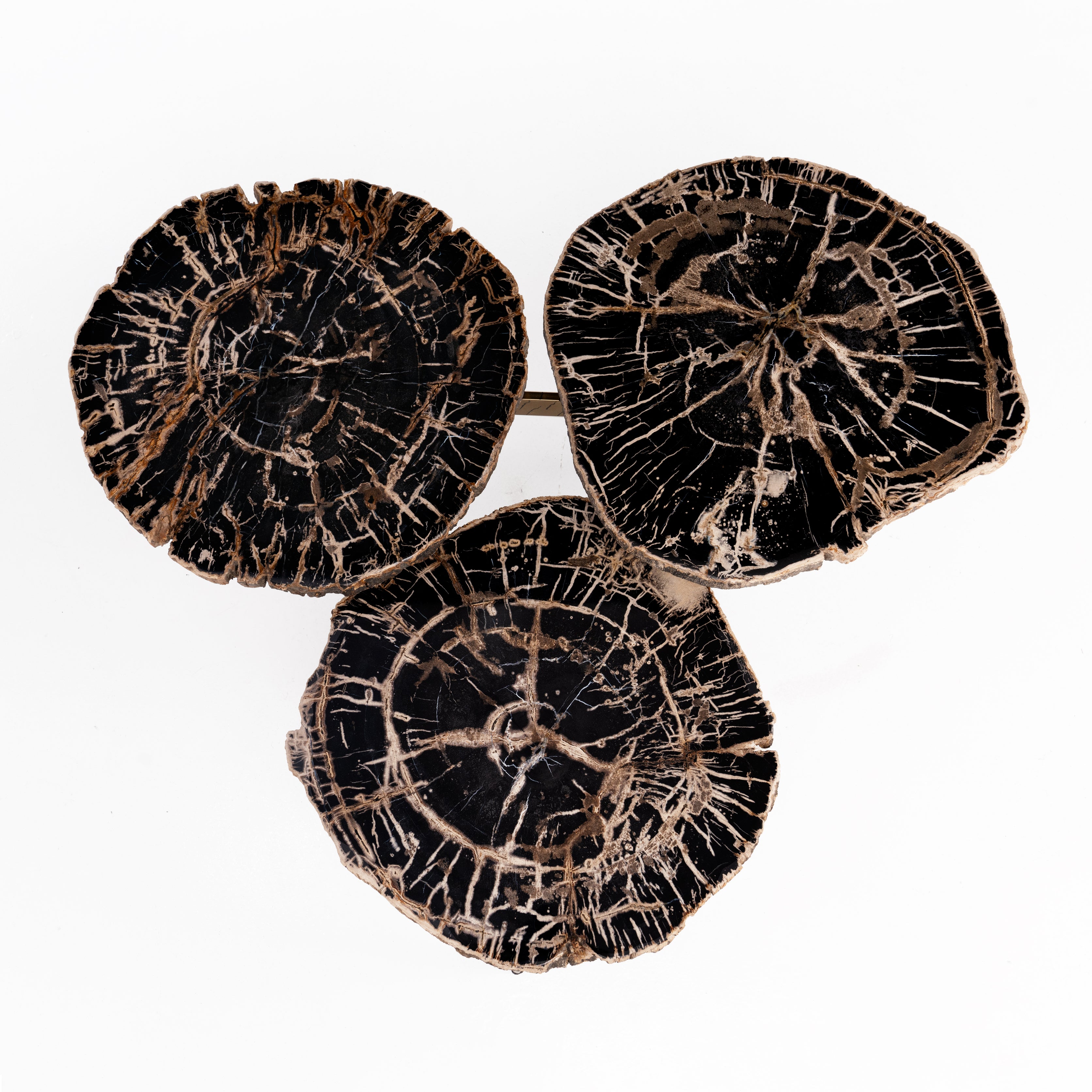 Trilogy • Studio Sale